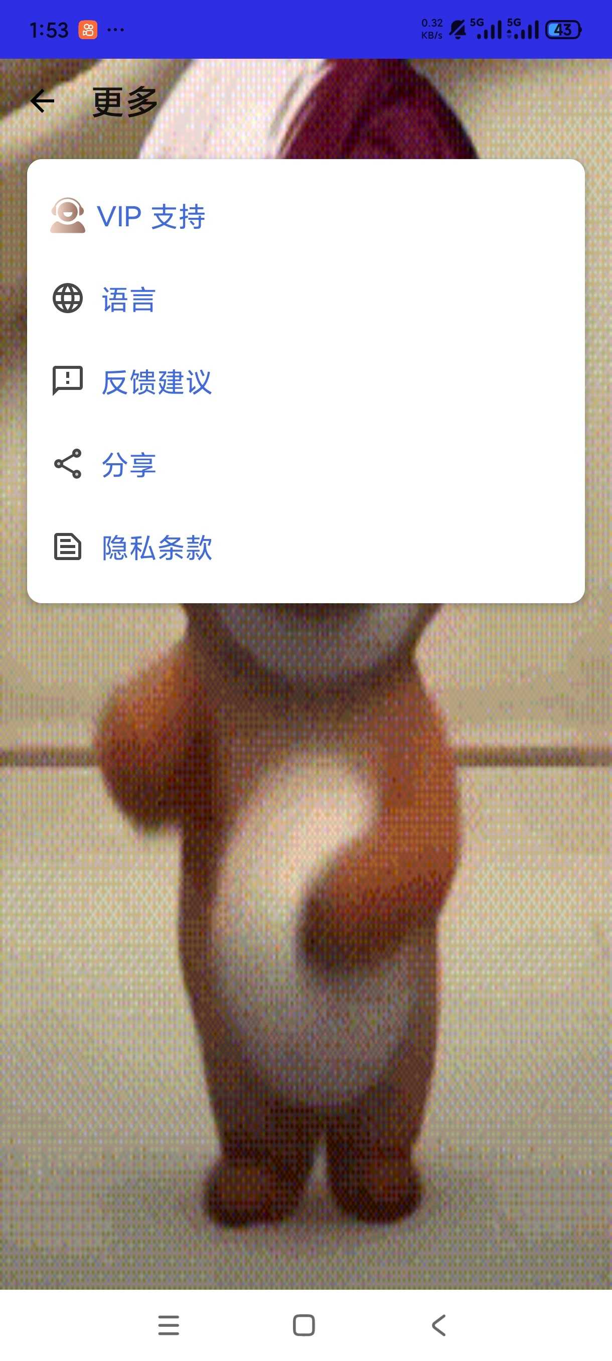 1000147250.jpg