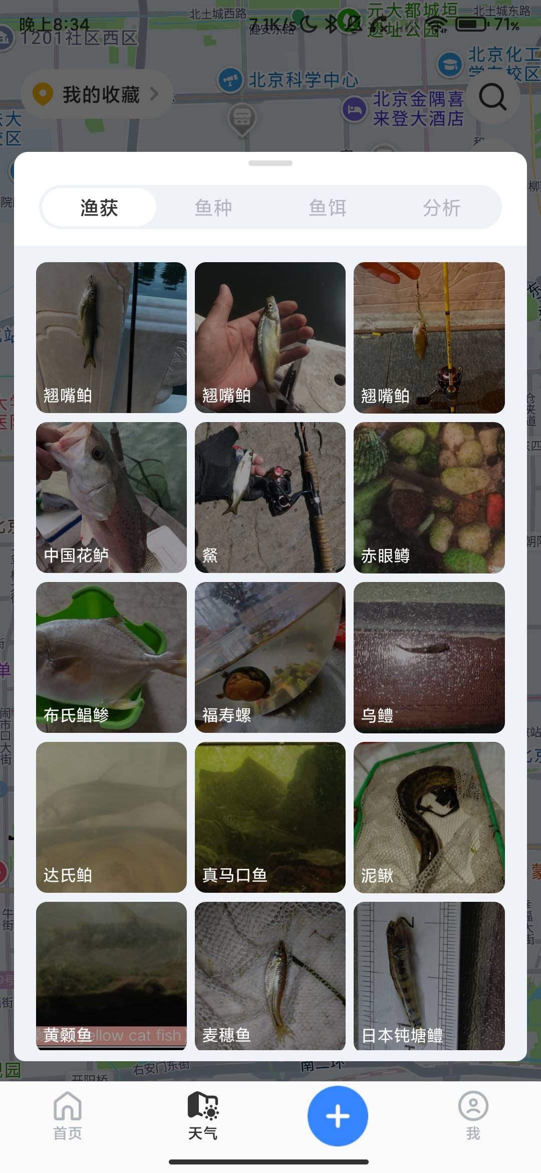 Screenshot_2026-06-08-20-34-06-780_com.saltchucker.jpg