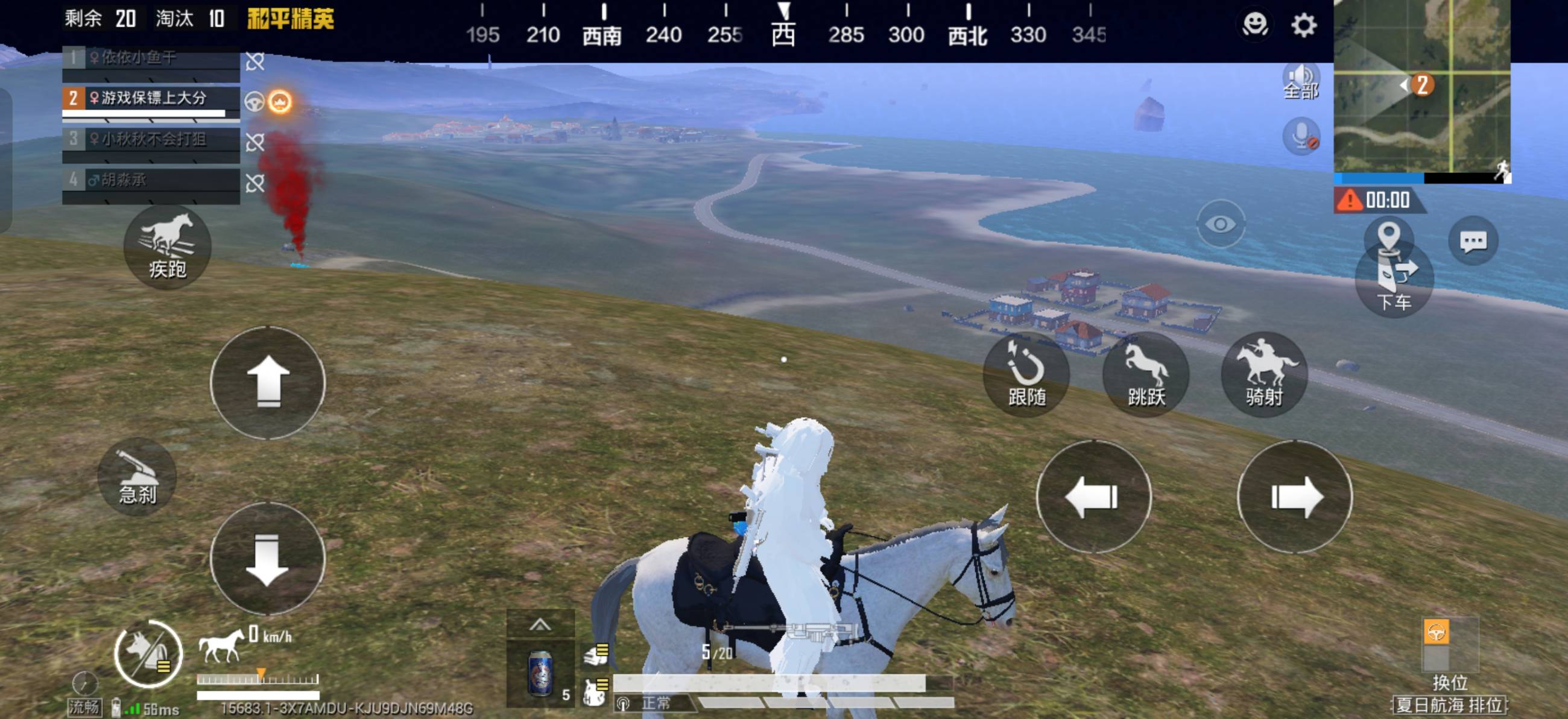 37951.jpg