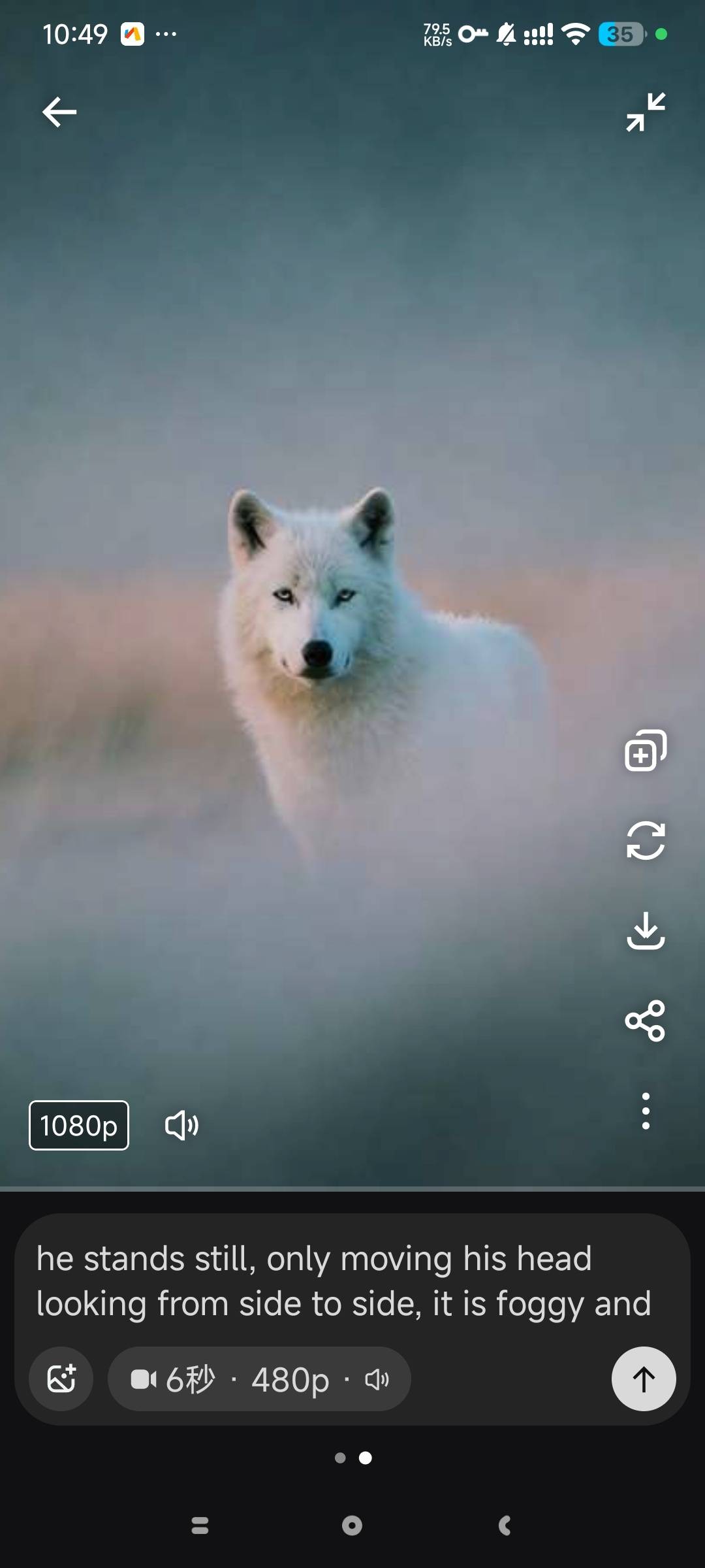 1000160085.jpg