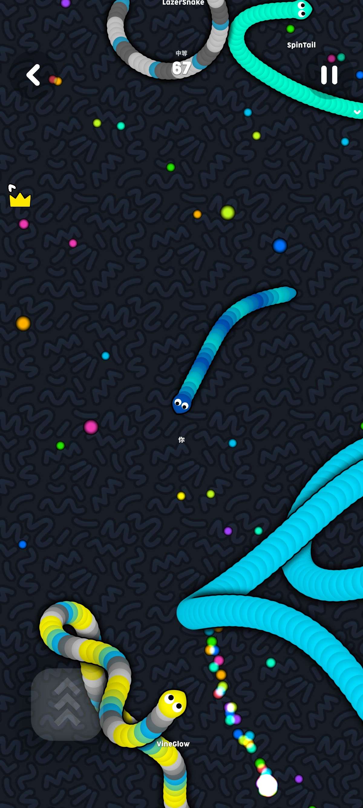 1000164529.jpg